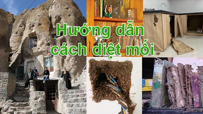 CÔNG TY TNHH KIỂM SOÁT CÔN TRÙNG HÀ NỘI Diệt mối tận gốc và các loại côn trùng tại Hà Nội ☎️ Hotline ( Zalo): 0794019999 Website: https://dietcontrunghanoi.net